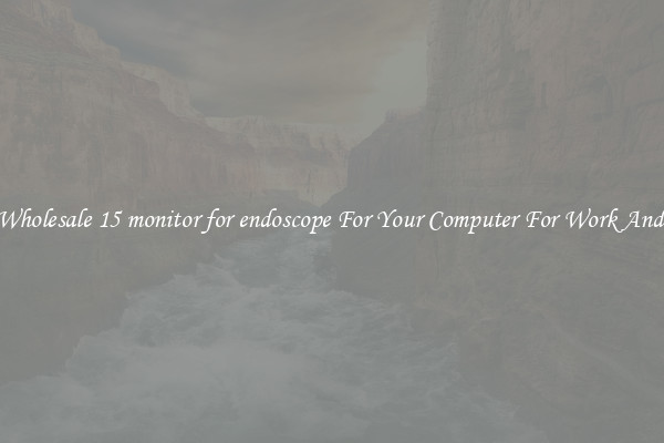 Crisp Wholesale 15 monitor for endoscope For Your Computer For Work And Home