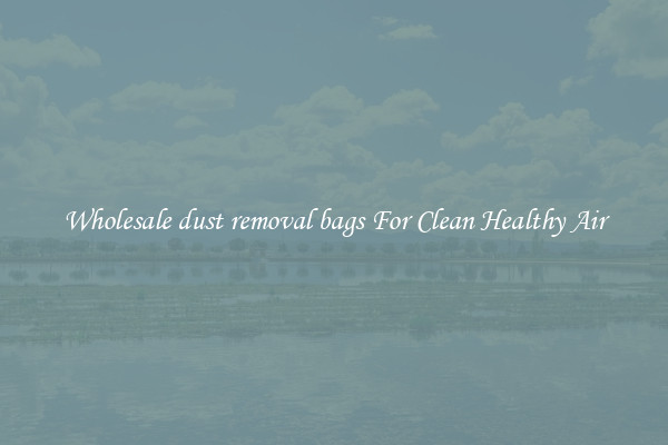 Wholesale dust removal bags For Clean Healthy Air