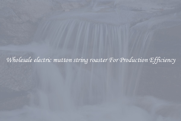 Wholesale electric mutton string roaster For Production Efficiency