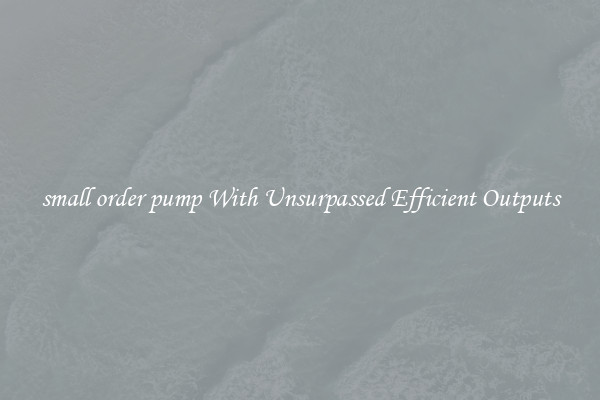 small order pump With Unsurpassed Efficient Outputs