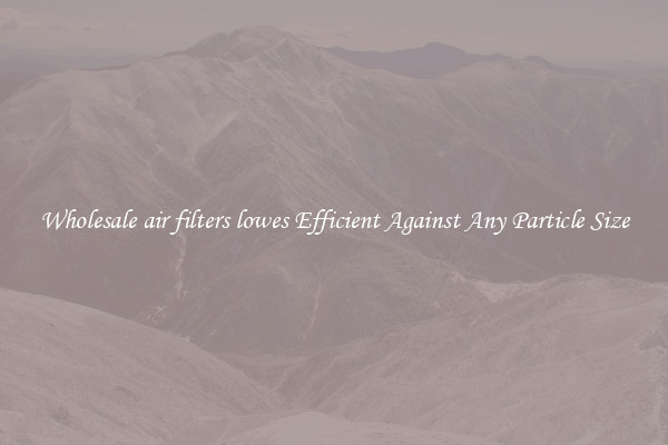 Wholesale air filters lowes Efficient Against Any Particle Size
