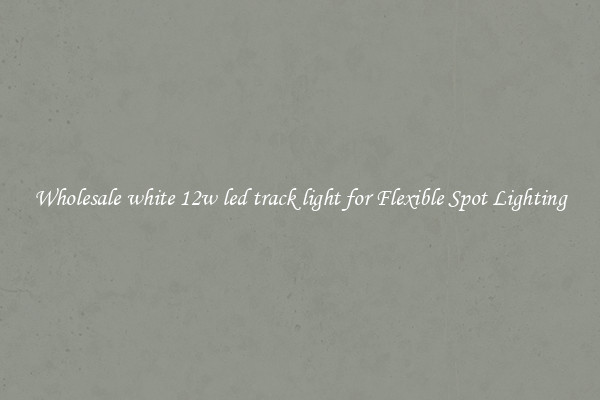 Wholesale white 12w led track light for Flexible Spot Lighting