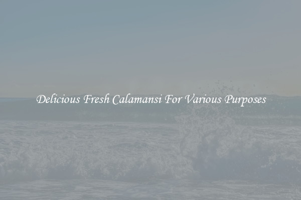 Delicious Fresh Calamansi For Various Purposes