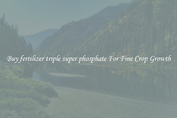 Buy fertilizer triple super phosphate For Fine Crop Growth