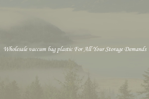 Wholesale vaccum bag plastic For All Your Storage Demands