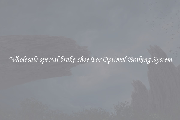 Wholesale special brake shoe For Optimal Braking System