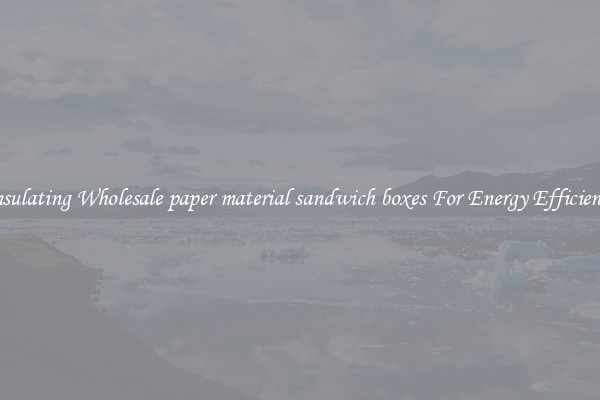 Insulating Wholesale paper material sandwich boxes For Energy Efficiency