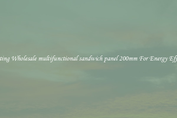 Insulating Wholesale multifunctional sandwich panel 200mm For Energy Efficiency