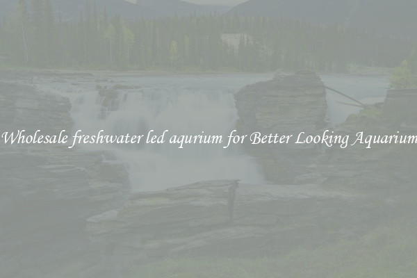 Wholesale freshwater led aqurium for Better Looking Aquarium