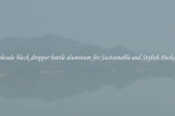 Wholesale black dropper bottle aluminum for Sustainable and Stylish Packaging