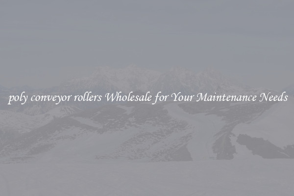 poly conveyor rollers Wholesale for Your Maintenance Needs