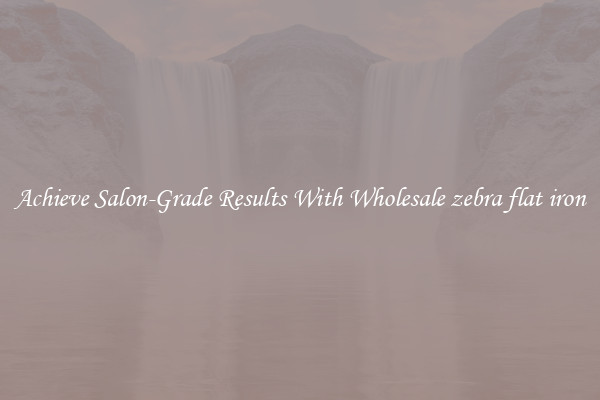 Achieve Salon-Grade Results With Wholesale zebra flat iron