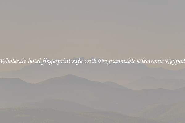 Wholesale hotel fingerprint safe with Programmable Electronic Keypad 