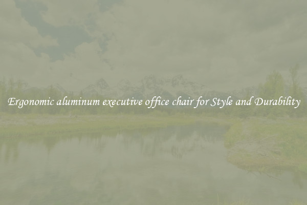 Ergonomic aluminum executive office chair for Style and Durability