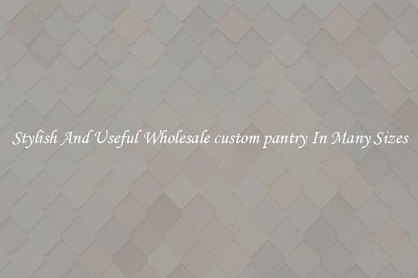 Stylish And Useful Wholesale custom pantry In Many Sizes