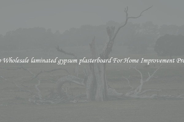 Shop Wholesale laminated gypsum plasterboard For Home Improvement Projects