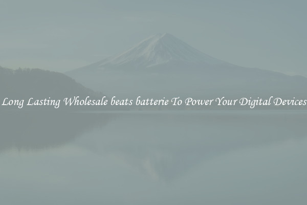 Long Lasting Wholesale beats batterie To Power Your Digital Devices